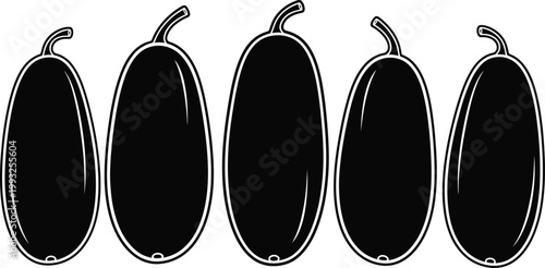 Five black pepper pods in a row illustration