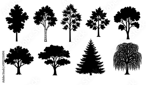 A collection of silhouetted trees diverse shapes and foliage representing nature's botanical variety in black and white