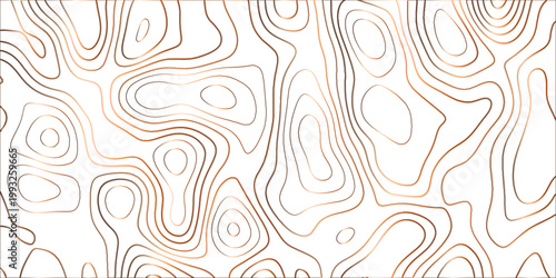 Εκτύπωση καμβά Topographic canyon geometric map relief texture with curved layers and shadow