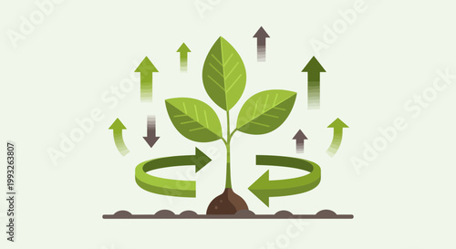 Eco friendly growth, sustainable development, green plant, vector icons