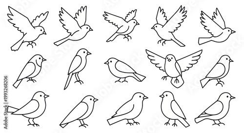 Collection of various bird species flying.