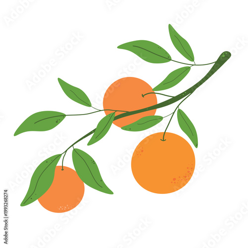 A branch with orange fruits and leaves. 