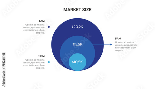 TAM SAM SOM Market Size Nested Circle Infographic