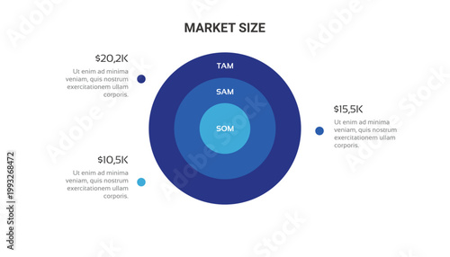 Concentric Market Sizing Target Infographic Diagram