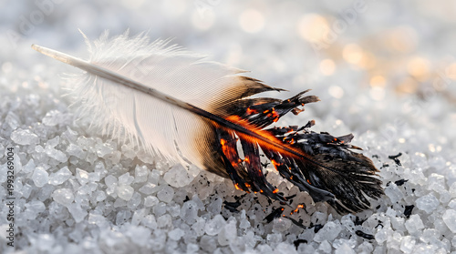 Close up of a delicate white feather partially burnt with glowing embers lying on white salt crystals under soft lighting.