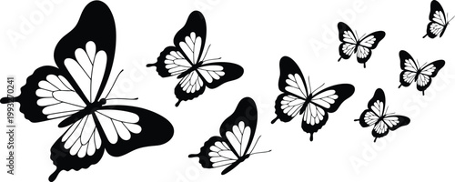 A beautiful flight of black and white butterflies with detailed wings gracefully soaring across a pristine white background