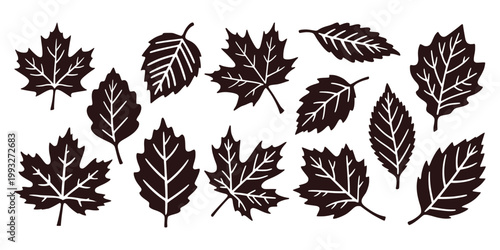 Various leaf silhouettes in simple silhouette style on white background, representing autumn nature concept idea