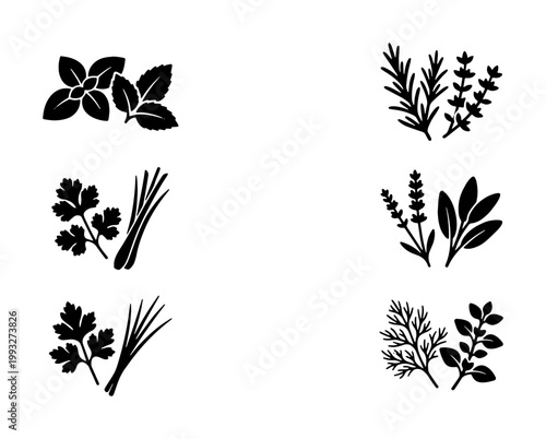 Culinary herbs black silhouette icons set, fresh organic herb sprigs vector collection, botanical kitchen spices for cooking and seasoning