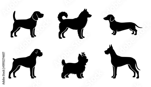 Dog breed silhouettes collection, set of 6 black canine vector icons, purebred domestic pets profile graphics for veterinary and pet shop branding