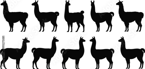 A collection of ten diverse black llama silhouettes standing in various poses on a clean white backdrop