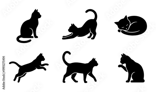 Black cat silhouettes set, 6 feline vector icons in various poses, minimalist domestic pet animal shapes for logo design and branding