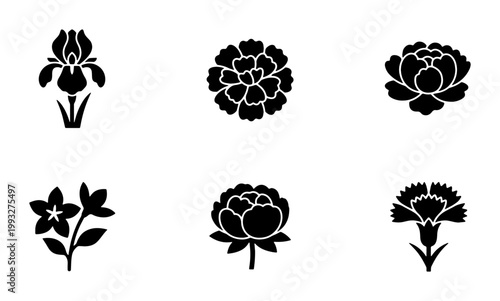 Minimalist black flower icons set, 6 botanical floral silhouettes, elegant iris peony and carnation vector graphics for branding and logos