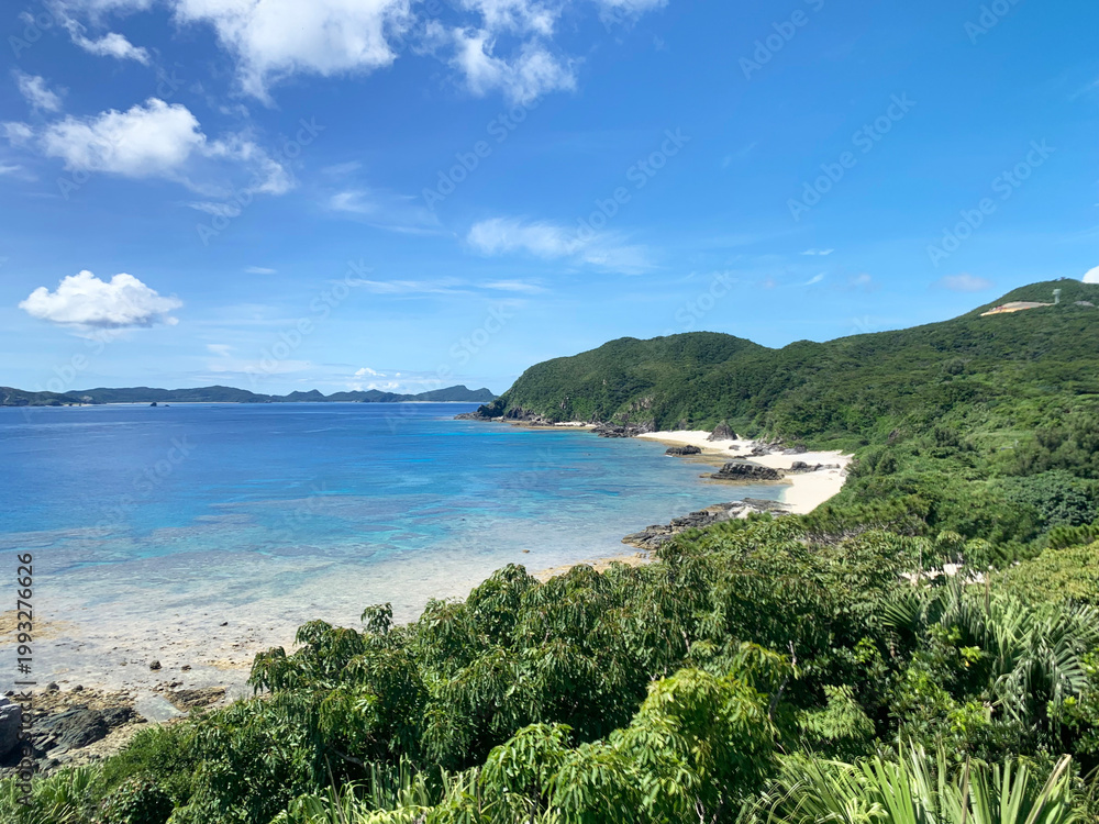 Fototapeta premium tropical beach with turquoise water