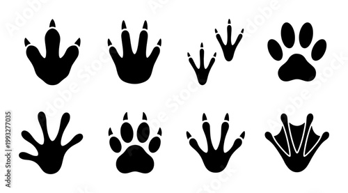 Animal paw prints collection, black silhouette wildlife tracks vector set, bird and mammal footprint icons, nature trail identification symbols