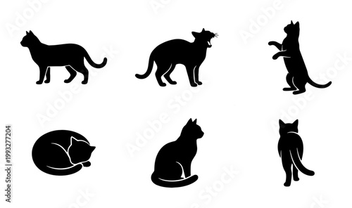 Black cat silhouette collection, set of 6 feline vector icons in various poses, minimalist domestic pet animal shapes for logo design and branding