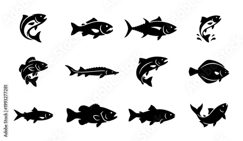 Black fish silhouette icons set of 12 vector elements, aquatic animal silhouettes for fishing logos, sea and river fish species collection on white background