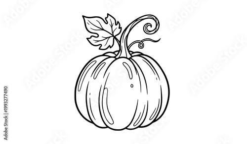 Hand Drawn Pumpkin Outline Cute Autumn Squash Black and White Vector Illustration