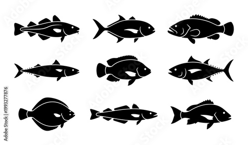 Black fish silhouette icons set, commercial sea fish species vector collection, 9 marine animal symbols for fishing and seafood industry
