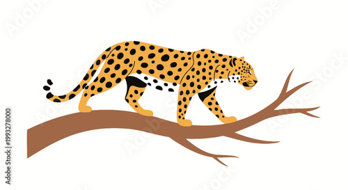 Cheetah walking on tree branch slowly.