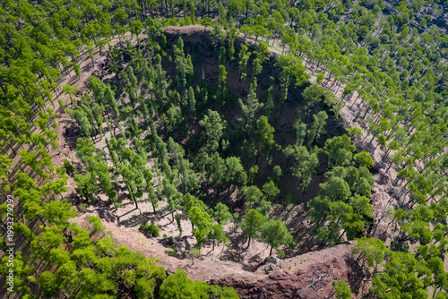 Aerial View of a Volcanic Crater Reclaimed by Forest Canopy; Botanical Succession and The Power of Nature, La Palma, Canary Islands, Spain