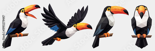 Geometric toucan set low poly vector in minimalist style. Collection of tropical birds in different poses including flying, front view and on branch. Clean flat design for branding, icons and modern p