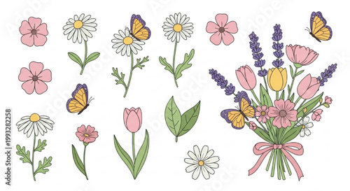 Spring Flower Vector Set with Wildflowers, Daisies, Lavender, Tulips and Botanical Clipart Elements