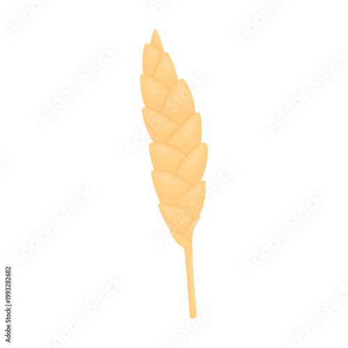 Minimalist vector illustration of a wheat ear isolated on white background. Clean agricultural symbol representing harvest, farming, organic food, bakery industry and natural products.