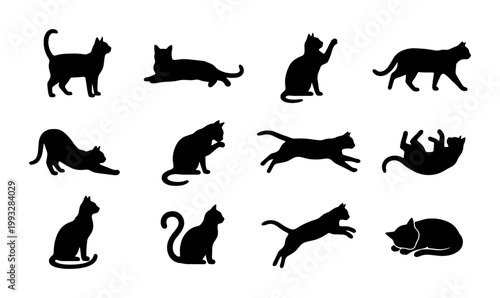 Black cat silhouettes set of 12 vector icons, domestic feline pet poses in various positions, minimalist animal shape collection for logo design