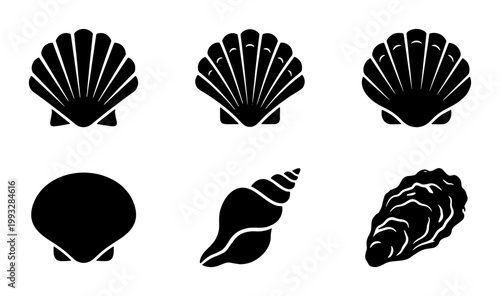 Seashell black silhouette icons set, 6 marine sea shell vector elements, scallop and oyster shell illustrations for nautical branding and beach decor