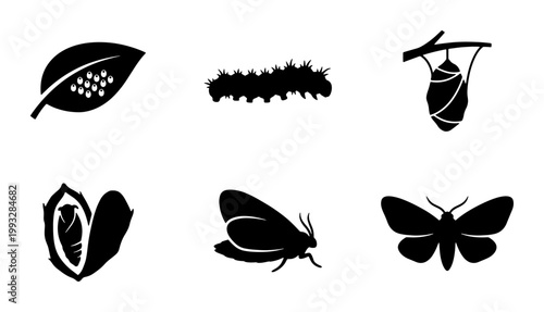 Foto Butterfly life cycle silhouette icons, moth metamorphosis stages vector set, 6 i