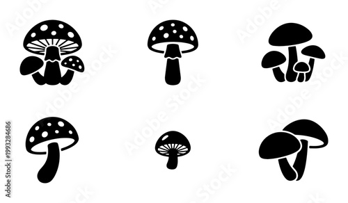 Konstfotografi Mushroom icon set with 6 black vector silhouettes, fly agaric and forest fungi i