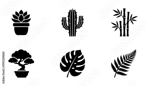 Minimalist black plant icons set, botanical vector silhouettes of cactus and monstera leaf, 6 tropical flora elements for web design
