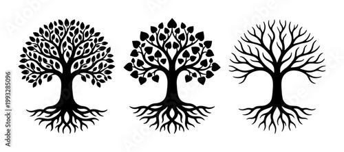 Black tree silhouettes with roots, set of 3 botanical vector icons, minimalist oak and maple tree life cycle symbols for eco branding