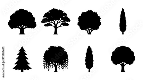 Black tree silhouette collection, set of 8 nature plant icons. Minimalist forest tree shapes, oak pine and willow vector elements for landscape design
