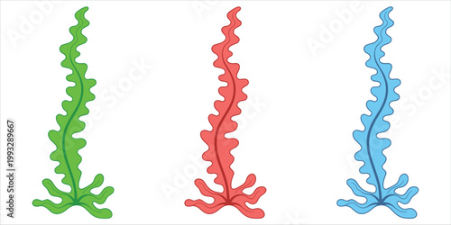 Three Stylized Seaweed Plants Green Red and Blue on White Background Keywords: seaweed, kelp, marine, ocean, underwater, plant, flora