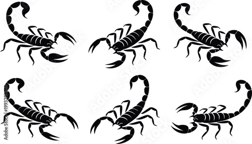 A striking arrangement of six bold black scorpion silhouettes displaying different poses on a pure white field