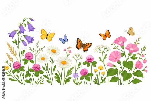 Wildflowers and butterflies vector illustration featuring a horizontal floral border with bellflowers, daisies, pink clover, and morning glory blossoms on a clean white background for design.