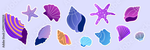 Set of colorful cartoon stickers sea shells and starfish in various shapes and colors, isolated. For scrapbooking, summer, sea, ocean, beach, vacation, tropical, card design. Flat vector. 
