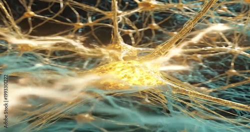 Microscopic view of a complex neural network in the brain.