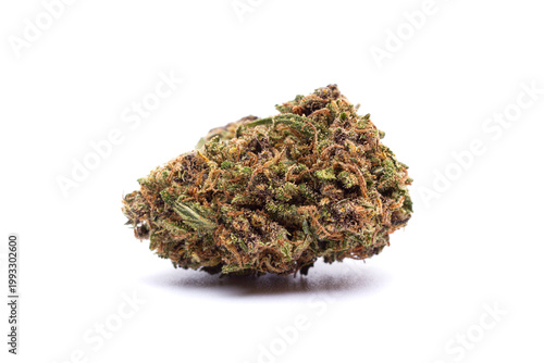 Marijuana flower isolated on white background