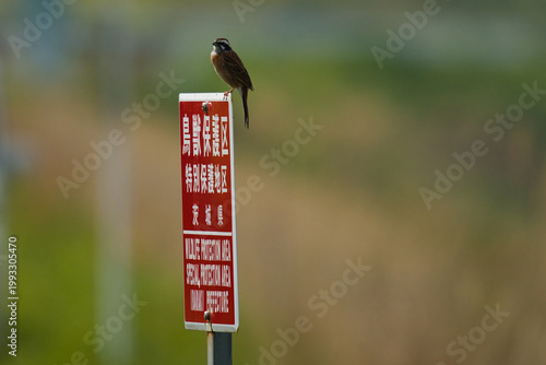 鳥獣保護区