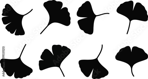 Eight black silhouettes of ginkgo biloba leaves are arranged neatly on a white background