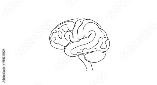 Continuous line drawing of a human brain, symbolizing thought, intelligence, and creativity.