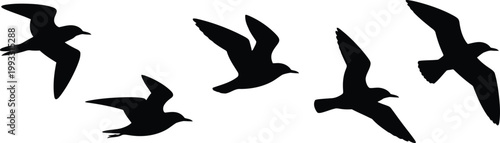 Five black bird silhouettes soar gracefully through the sky, showcasing freedom and natural movement