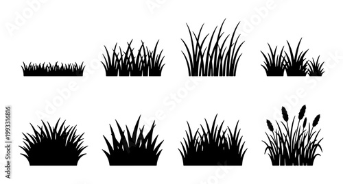 Black grass silhouette set, 8 botanical tuft icons and meadow plant elements, flat vector lawn and reed shapes for landscape design