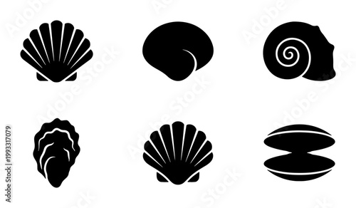 Minimalist seashell silhouette icons, set of 6 black sea shell vector illustrations, nautical scallop and clam shell symbols for summer branding