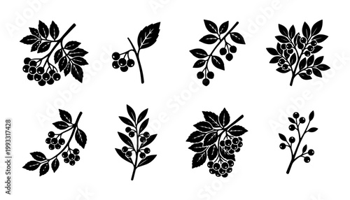 Vintage berry branch silhouettes, set of 8 botanical vector icons, black rowan and elderberry sprigs with leaves on white background