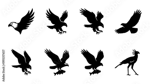 Eagle silhouette vector set, majestic predatory birds in flight and hunting poses, black hawk and falcon icons for wildlife branding and logos