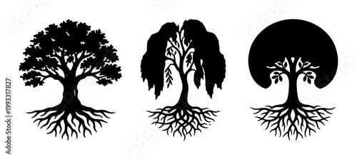 Black tree silhouettes with roots, set of 3 botanical vector icons, oak and willow tree shapes, minimalist nature symbols for eco branding
