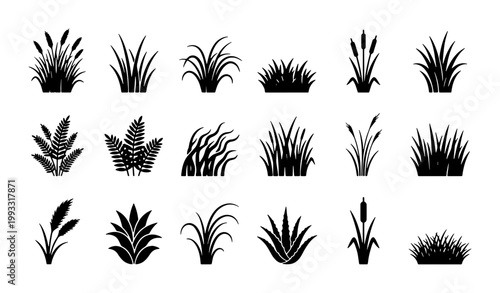 Black grass silhouette collection, 18 botanical plant icons, marsh reeds and meadow tuft vector set, wild foliage and swamp vegetation elements